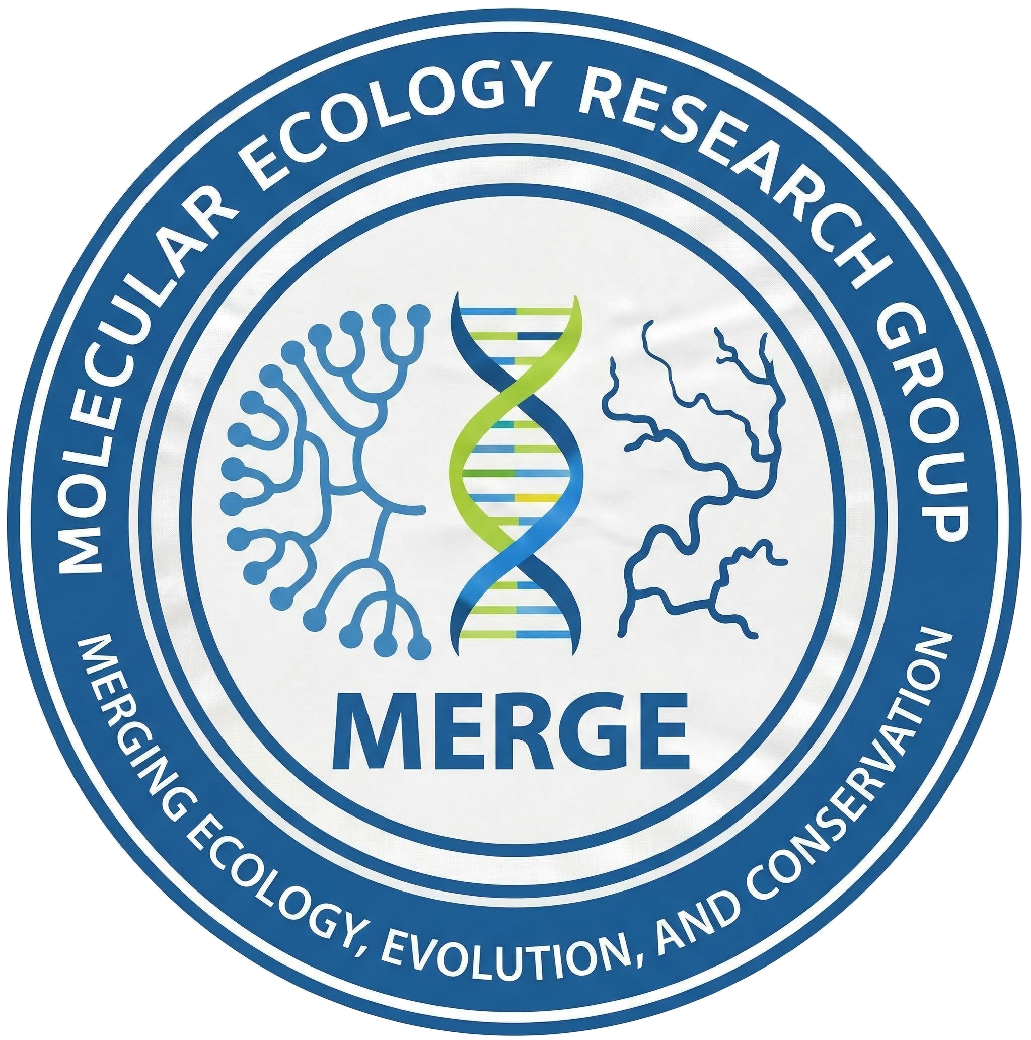 MERGE Lab