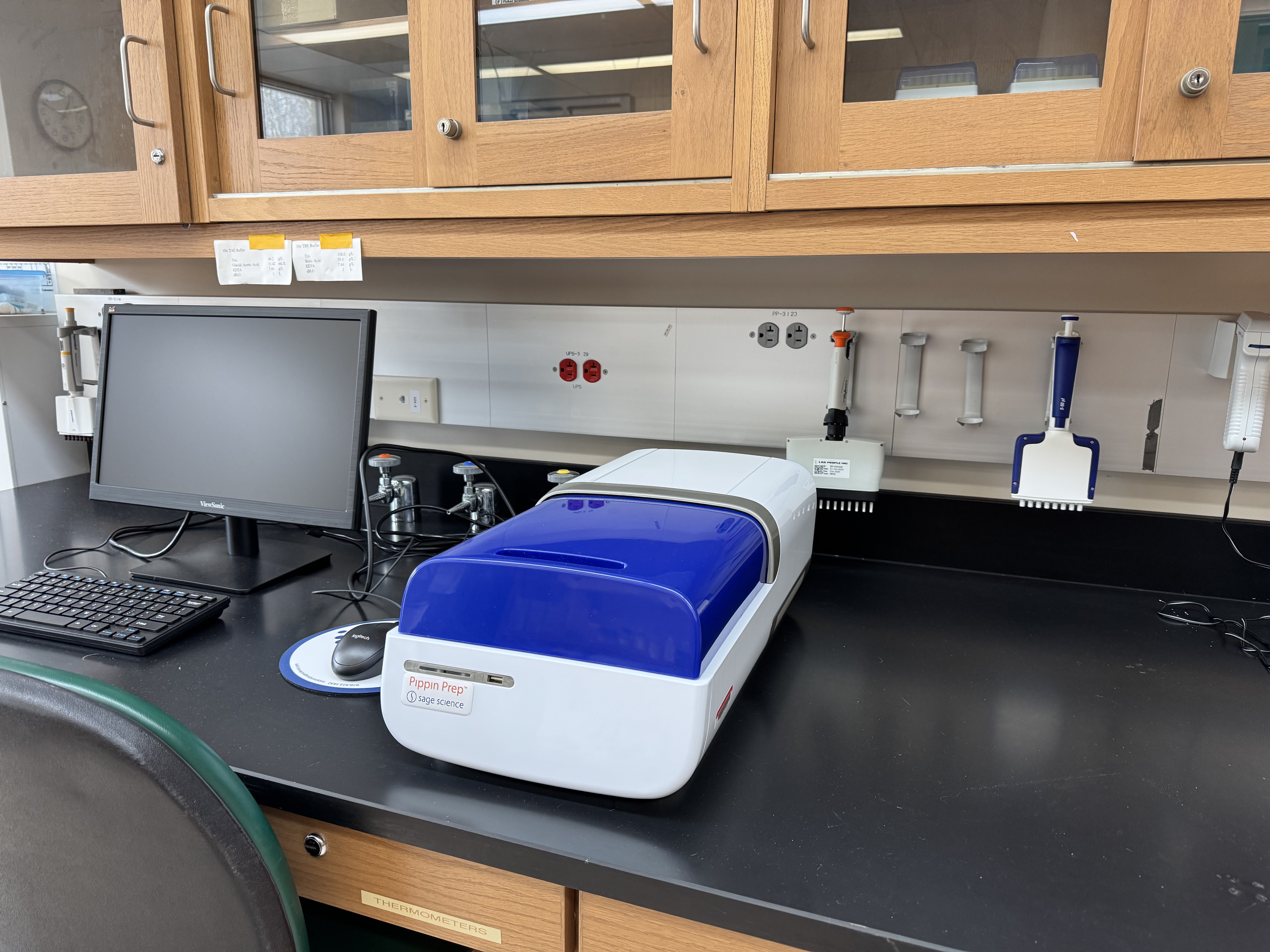 RADseq library preparation for genome-wide SNP discovery in the MERGE lab