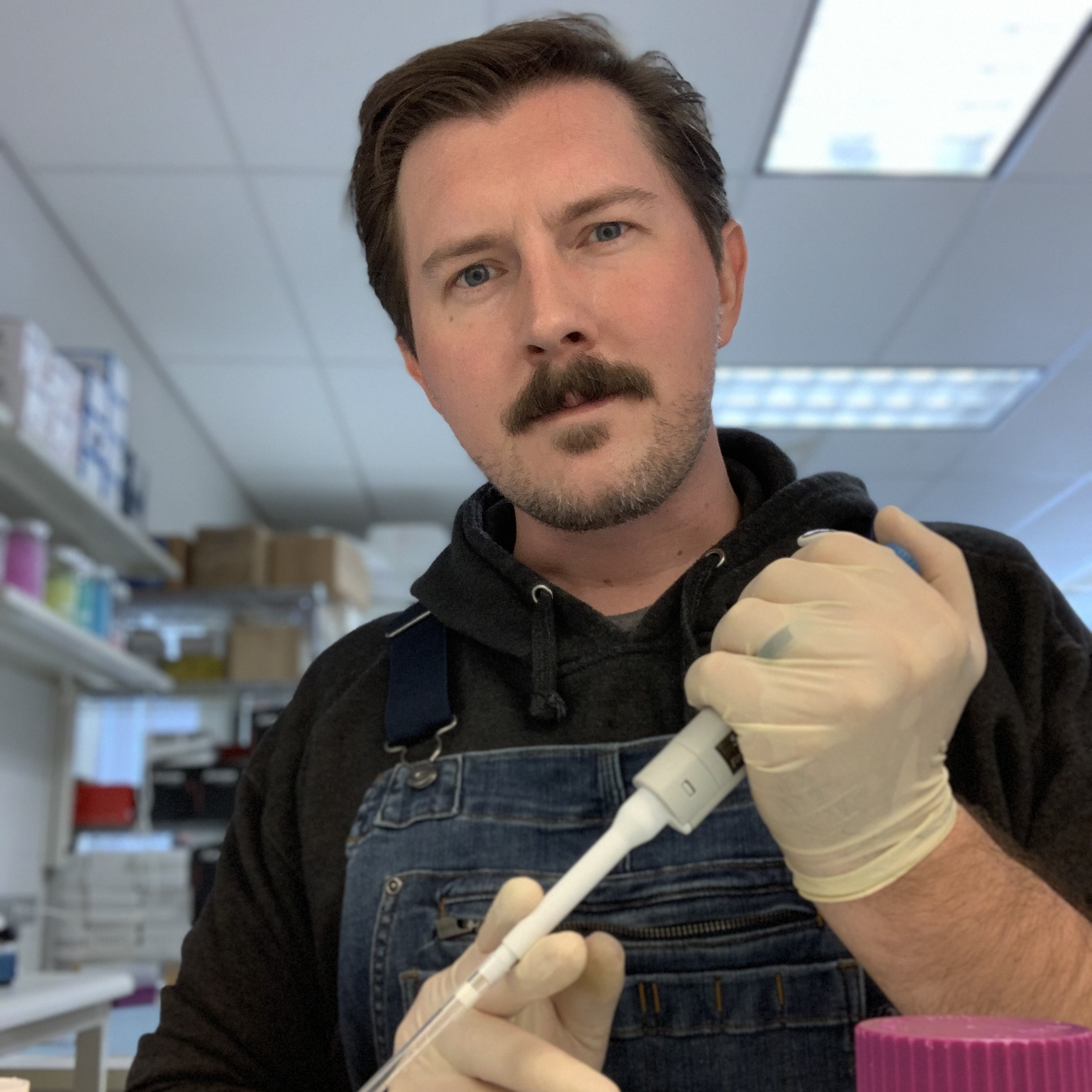 MERGE lab workspace equipped for collaborative molecular ecology services at the Appalachian Laboratory