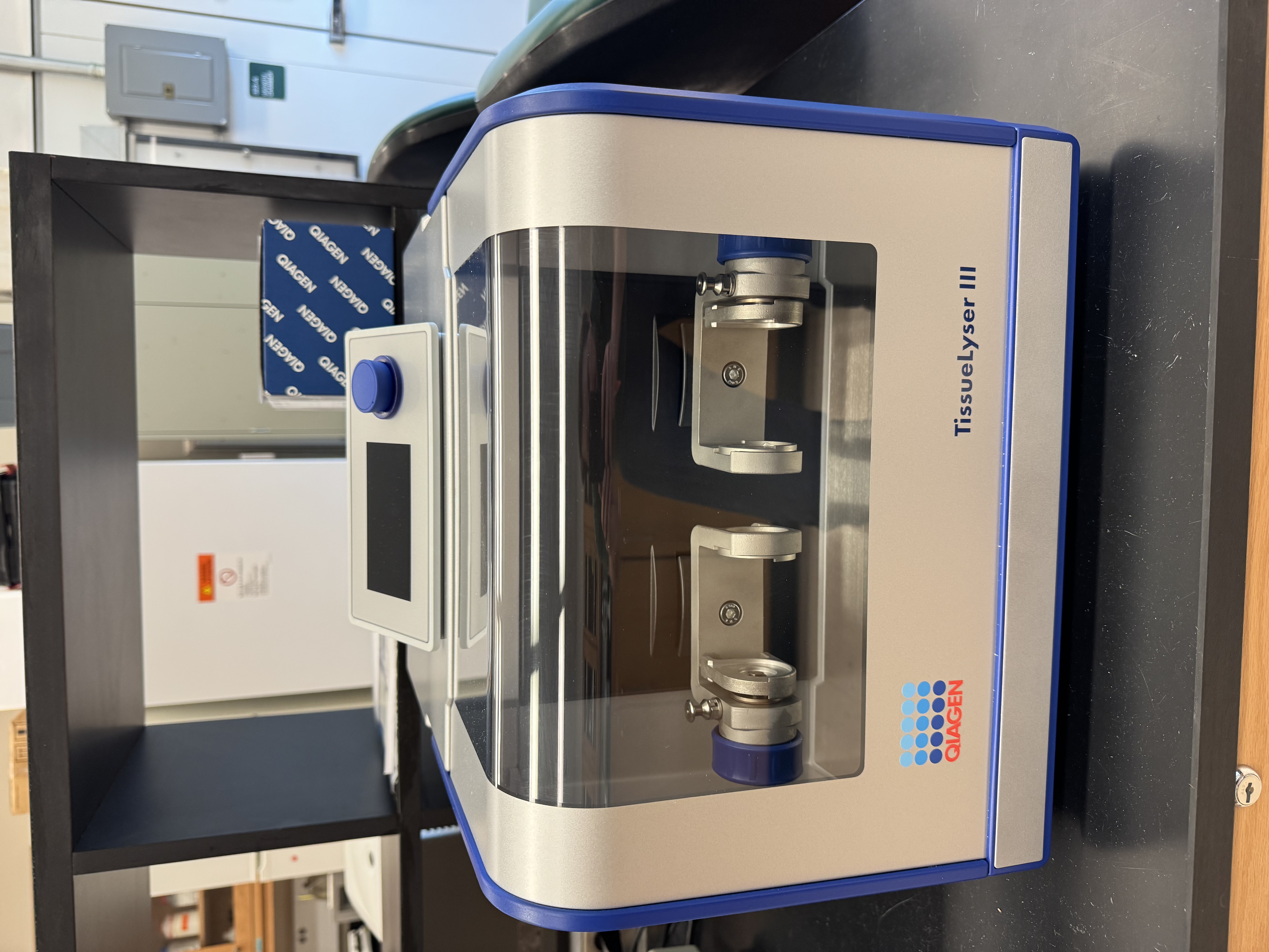 High-throughput DNA extraction from tissue samples in the MERGE lab